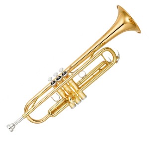 INSTRUMENTOS DE VIENTO Y TRADICIONALES